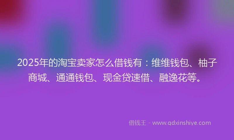 2025年的淘宝卖家怎么借钱有：维维钱包、柚子商城、通通钱包、现金贷速借、融逸花等。