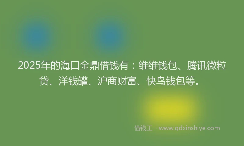 2025年的海口金鼎借钱有：维维钱包、腾讯微粒贷、洋钱罐、沪商财富、快鸟钱包等。