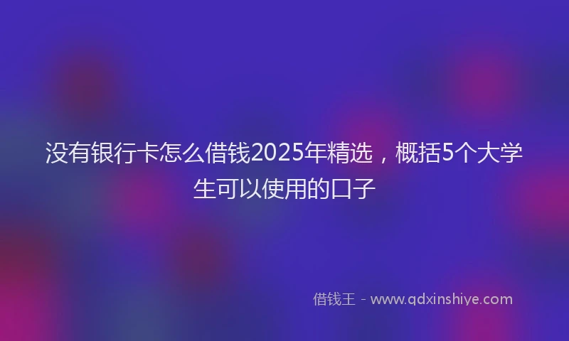 没有银行卡怎么借钱2025年精选，概括5个大学生可以使用的口子