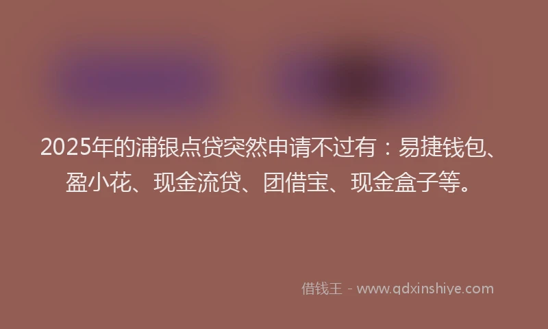 2025年的浦银点贷突然申请不过有：易捷钱包、盈小花、现金流贷、团借宝、现金盒子等。