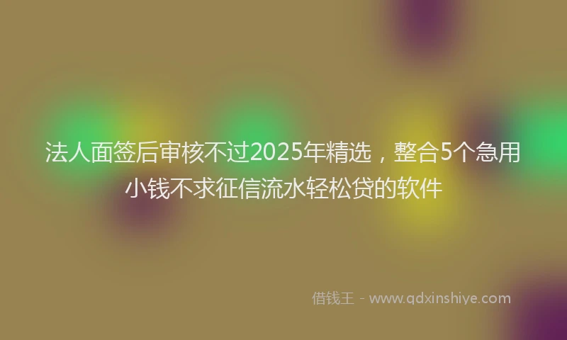 法人面签后审核不过2025年精选，整合5个急用小钱不求征信流水轻松贷的软件