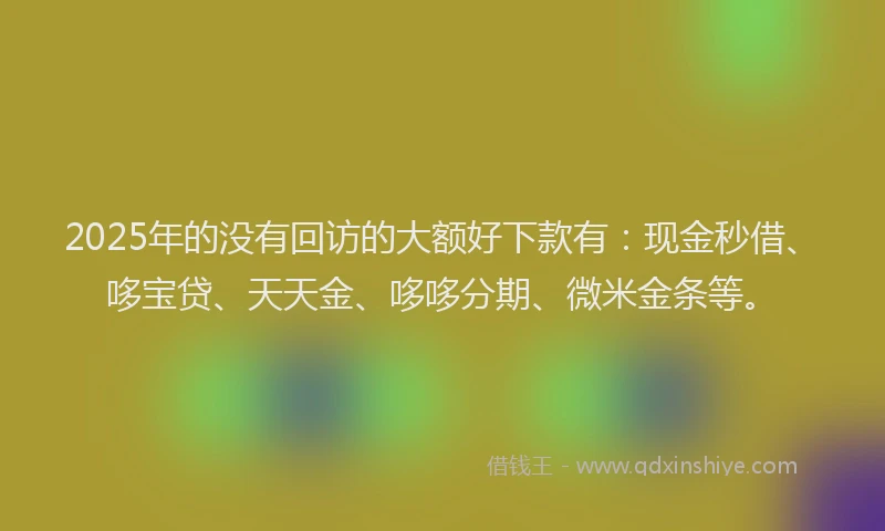 2025年的没有回访的大额好下款有：现金秒借、哆宝贷、天天金、哆哆分期、微米金条等。