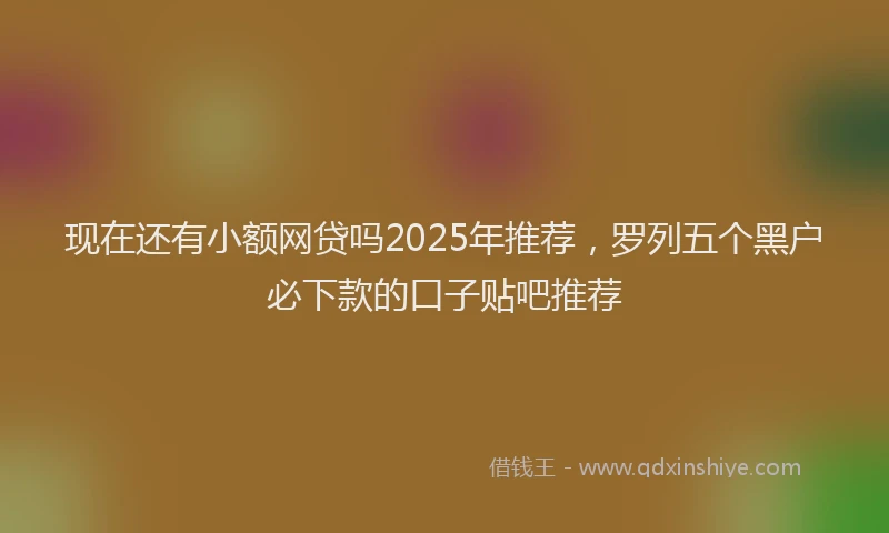 现在还有小额网贷吗2025年推荐，罗列五个黑户必下款的口子贴吧推荐