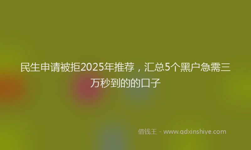 民生申请被拒2025年推荐，汇总5个黑户急需三万秒到的的口子
