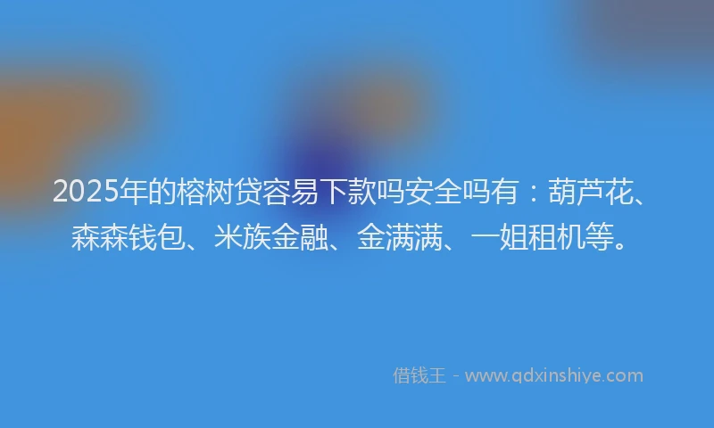 2025年的榕树贷容易下款吗安全吗有：葫芦花、森森钱包、米族金融、金满满、一姐租机等。