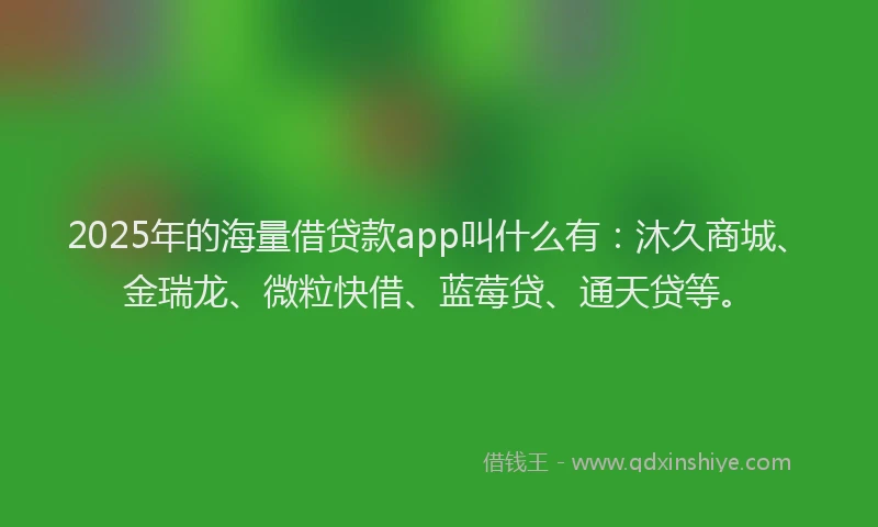 2025年的海量借贷款app叫什么有：沐久商城、金瑞龙、微粒快借、蓝莓贷、通天贷等。
