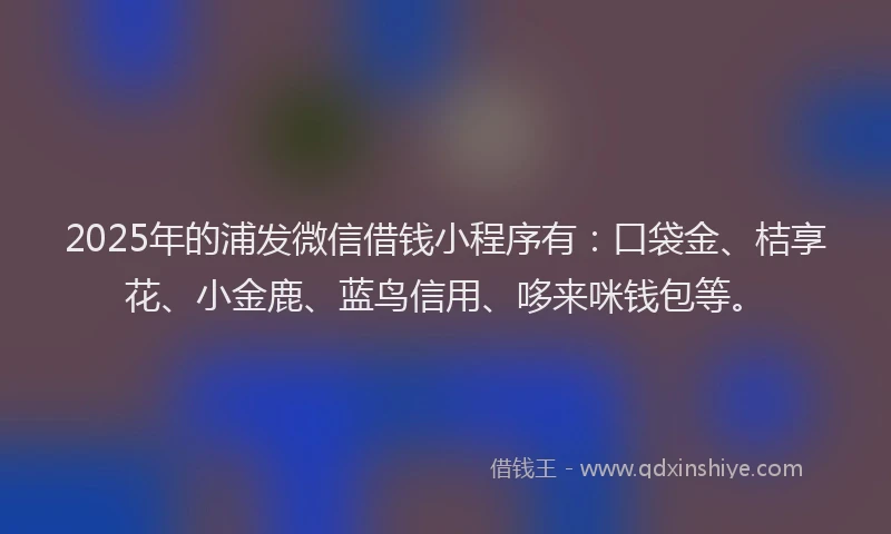 2025年的浦发微信借钱小程序有：口袋金、桔享花、小金鹿、蓝鸟信用、哆来咪钱包等。