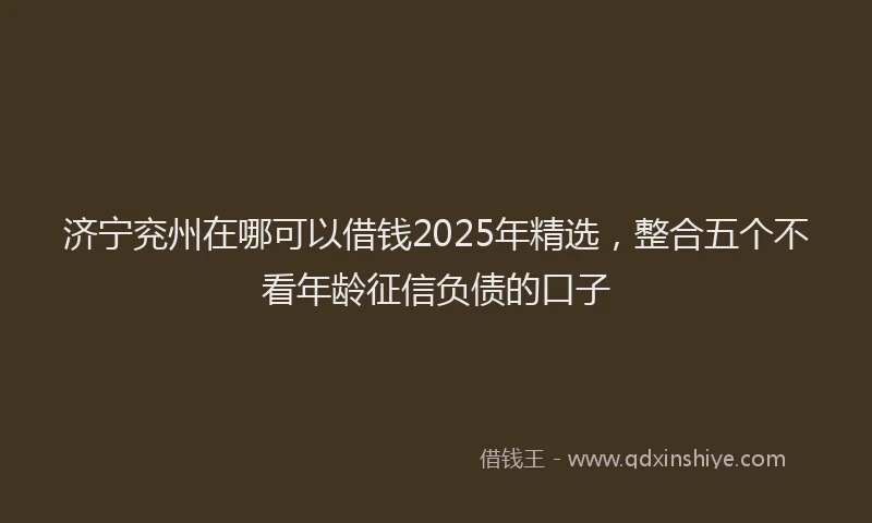济宁兖州在哪可以借钱2025年精选，整合五个不看年龄征信负债的口子