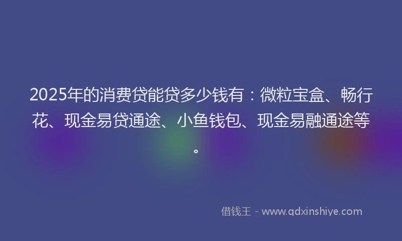 2025年的消费贷能贷多少钱有：微粒宝盒、畅行花、现金易贷通途、小鱼钱包、现金易融通途等。