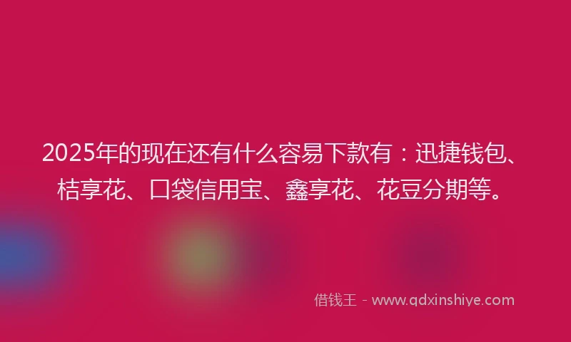 2025年的现在还有什么容易下款有：迅捷钱包、桔享花、口袋信用宝、鑫享花、花豆分期等。