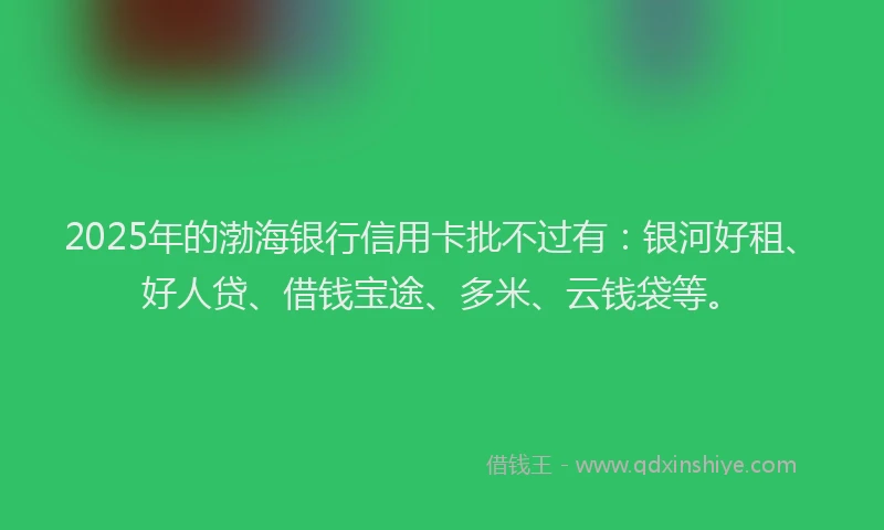 2025年的渤海银行信用卡批不过有：银河好租、好人贷、借钱宝途、多米、云钱袋等。