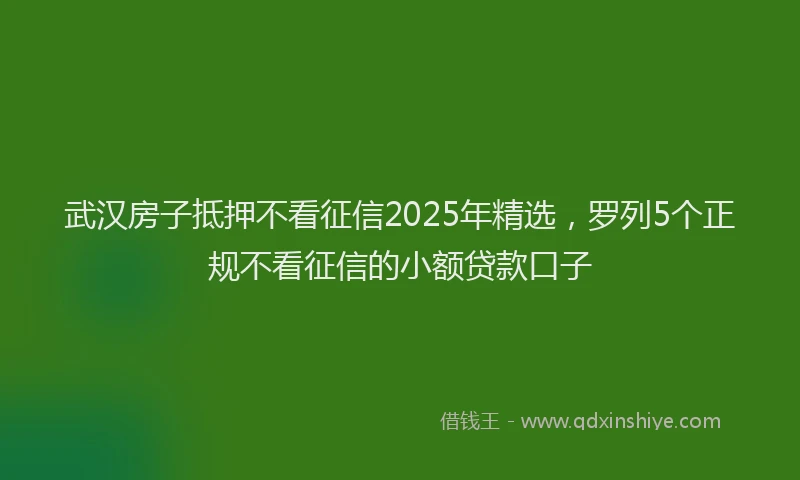武汉房子抵押不看征信2025年精选，罗列5个正规不看征信的小额贷款口子
