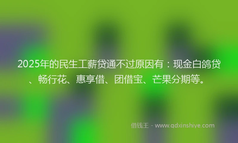 2025年的民生工薪贷通不过原因有：现金白鸽贷、畅行花、惠享借、团借宝、芒果分期等。