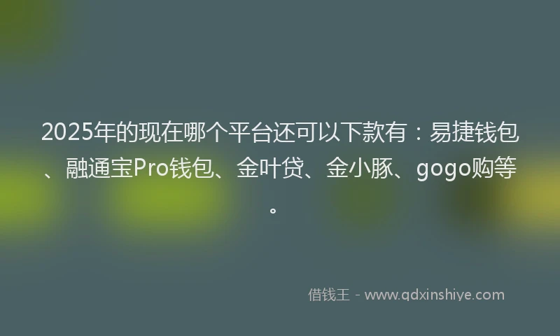 2025年的现在哪个平台还可以下款有：易捷钱包、融通宝Pro钱包、金叶贷、金小豚、gogo购等。