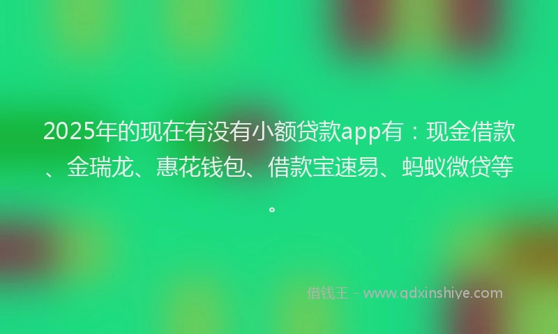 2025年的现在有没有小额贷款app有：现金借款、金瑞龙、惠花钱包、借款宝速易、蚂蚁微贷等。
