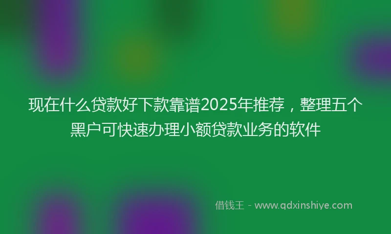 现在什么贷款好下款靠谱2025年推荐，整理五个黑户可快速办理小额贷款业务的软件