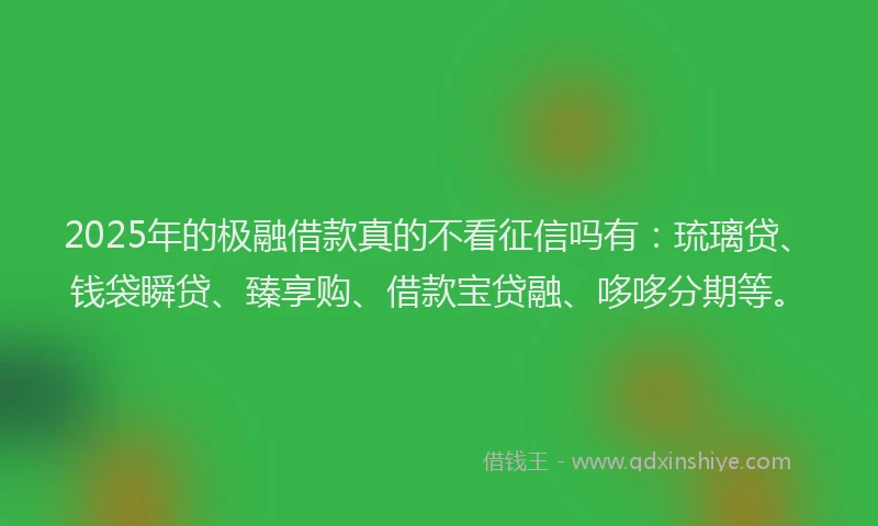 2025年的极融借款真的不看征信吗有：琉璃贷、钱袋瞬贷、臻享购、借款宝贷融、哆哆分期等。