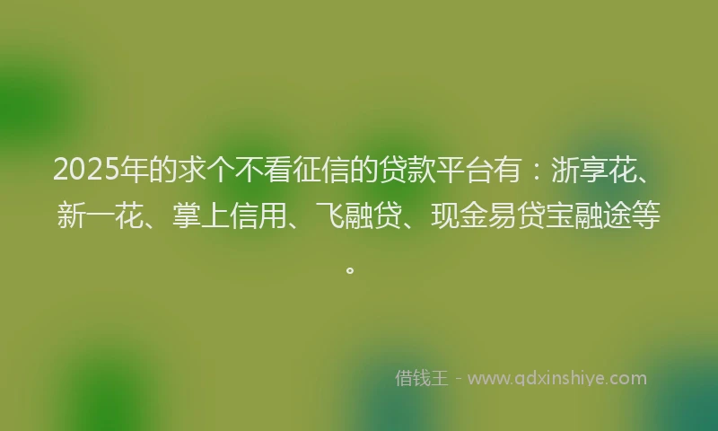 2025年的求个不看征信的贷款平台有：浙享花、新一花、掌上信用、飞融贷、现金易贷宝融途等。