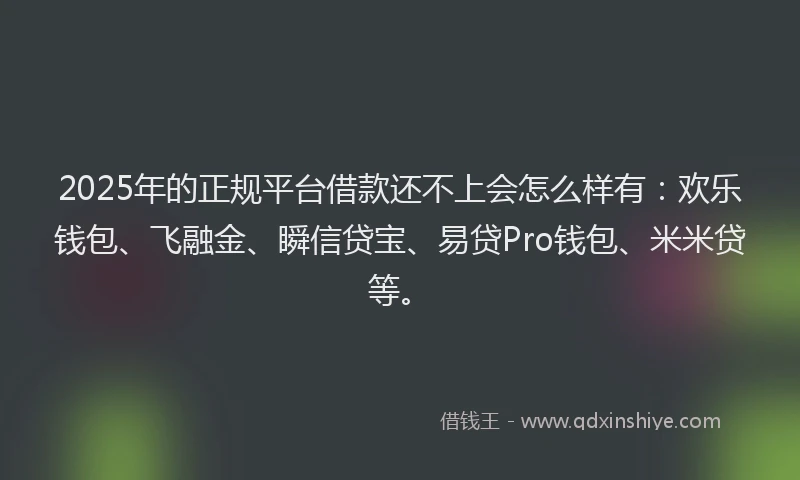 2025年的正规平台借款还不上会怎么样有：欢乐钱包、飞融金、瞬信贷宝、易贷Pro钱包、米米贷等。