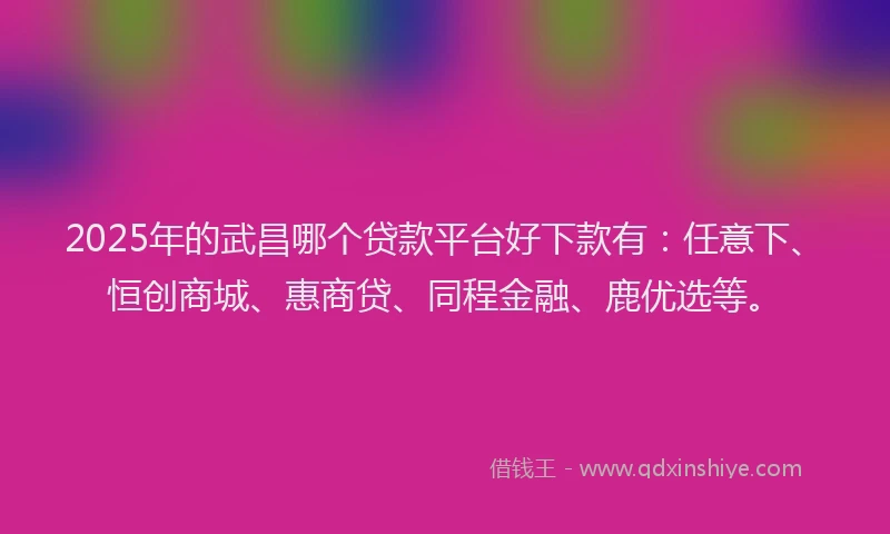 2025年的武昌哪个贷款平台好下款有：任意下、恒创商城、惠商贷、同程金融、鹿优选等。