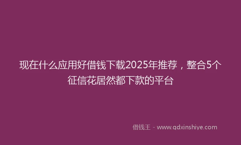 现在什么应用好借钱下载2025年推荐，整合5个征信花居然都下款的平台