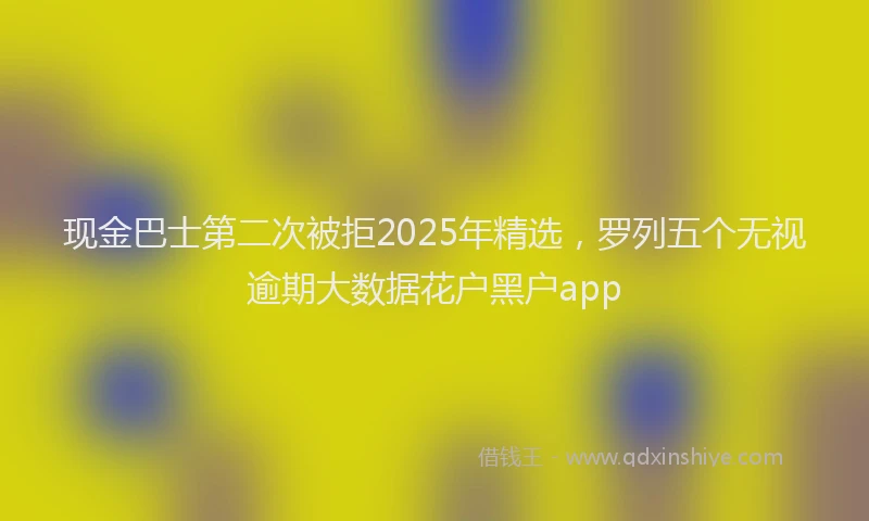 现金巴士第二次被拒2025年精选，罗列五个无视逾期大数据花户黑户app