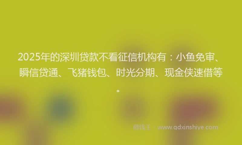 2025年的深圳贷款不看征信机构有：小鱼免审、瞬信贷通、飞猪钱包、时光分期、现金侠速借等。