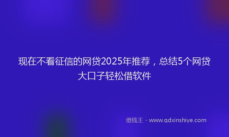 现在不看征信的网贷2025年推荐，总结5个网贷大口子轻松借软件