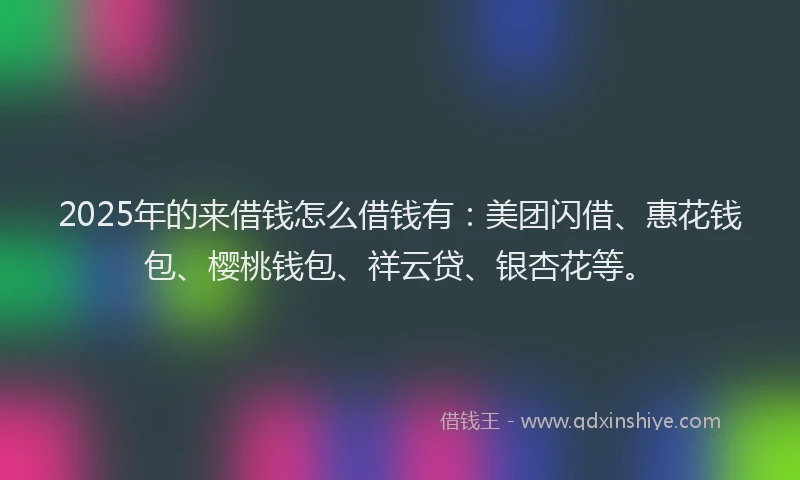 2025年的来借钱怎么借钱有：美团闪借、惠花钱包、樱桃钱包、祥云贷、银杏花等。