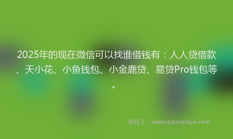 2025年的现在微信可以找谁借钱有：人人贷借款、天小花、小鱼钱包、小金鹿贷、易贷Pro钱包等。