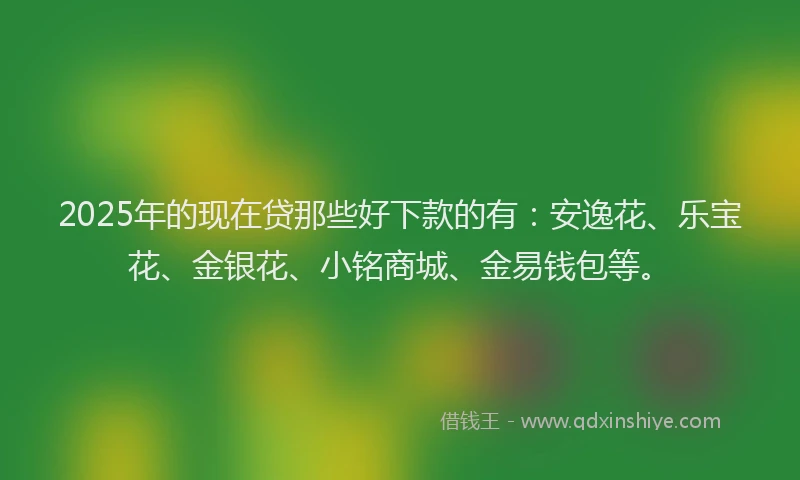 2025年的现在贷那些好下款的有：安逸花、乐宝花、金银花、小铭商城、金易钱包等。