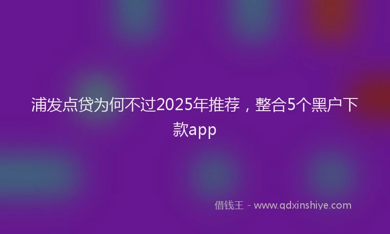 浦发点贷为何不过2025年推荐，整合5个黑户下款app