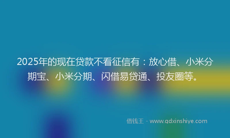 2025年的现在贷款不看征信有：放心借、小米分期宝、小米分期、闪借易贷通、投友圈等。