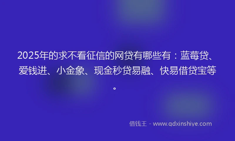 2025年的求不看征信的网贷有哪些有：蓝莓贷、爱钱进、小金象、现金秒贷易融、快易借贷宝等。