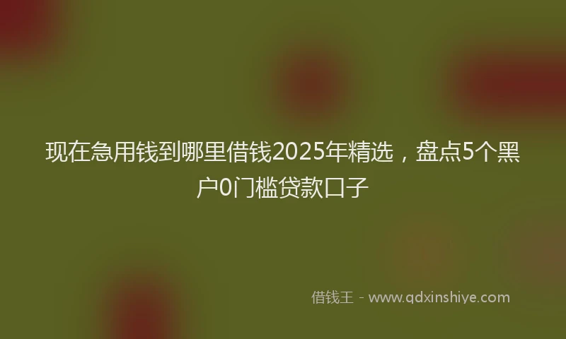 现在急用钱到哪里借钱2025年精选，盘点5个黑户0门槛贷款口子