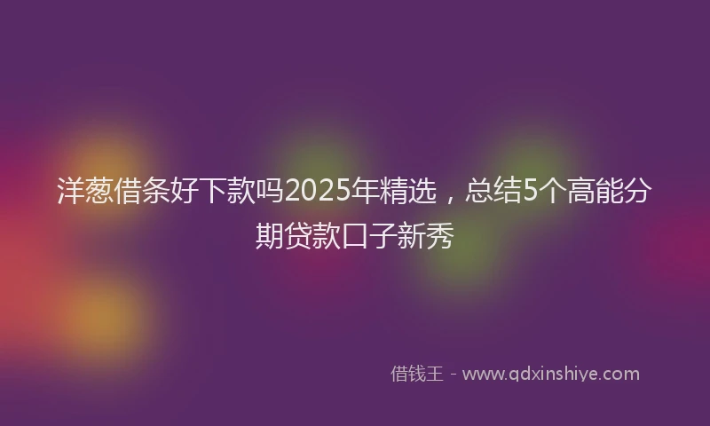 洋葱借条好下款吗2025年精选，总结5个高能分期贷款口子新秀