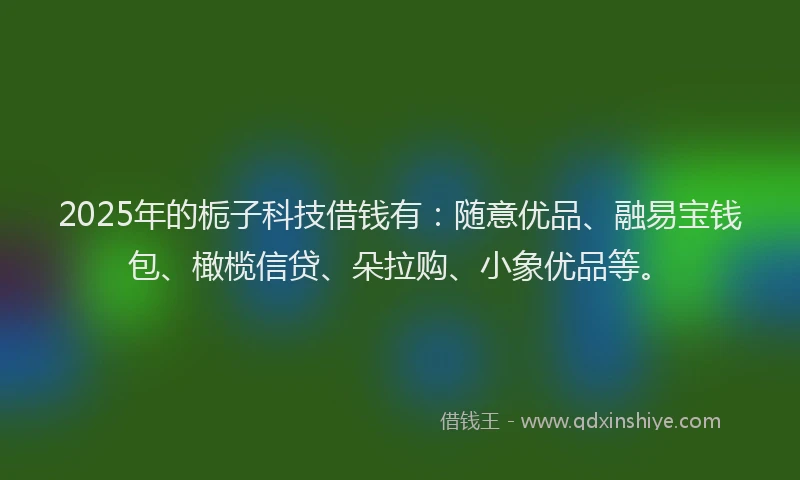 2025年的栀子科技借钱有：随意优品、融易宝钱包、橄榄信贷、朵拉购、小象优品等。