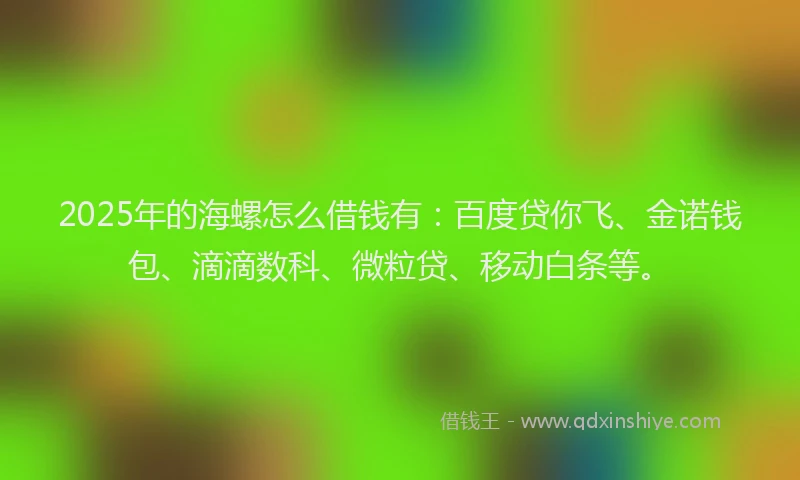 2025年的海螺怎么借钱有：百度贷你飞、金诺钱包、滴滴数科、微粒贷、移动白条等。