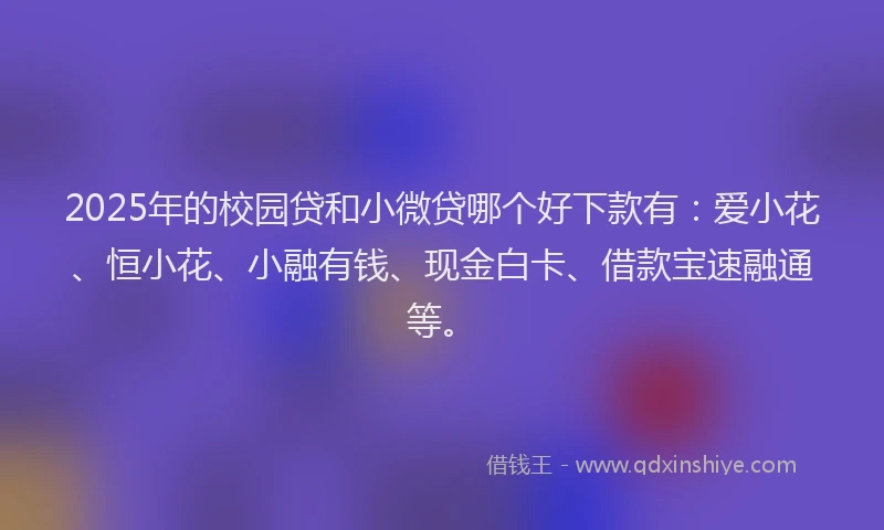 2025年的校园贷和小微贷哪个好下款有：爱小花、恒小花、小融有钱、现金白卡、借款宝速融通等。
