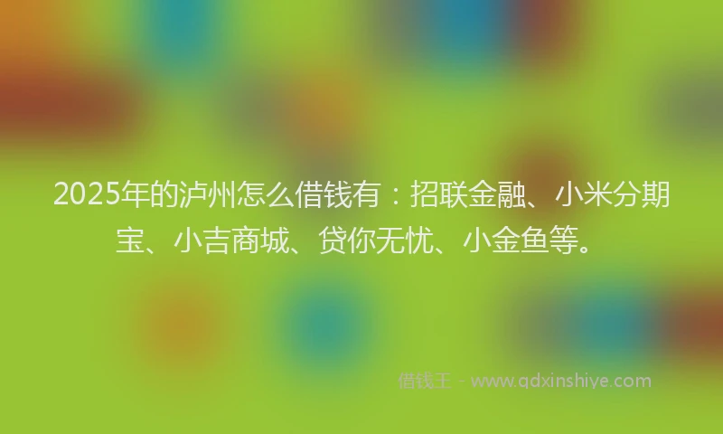 2025年的泸州怎么借钱有：招联金融、小米分期宝、小吉商城、贷你无忧、小金鱼等。
