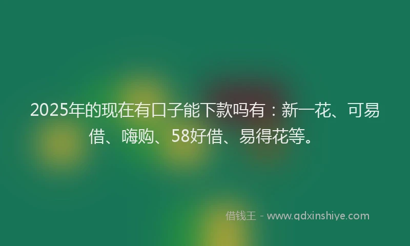 2025年的现在有口子能下款吗有：新一花、可易借、嗨购、58好借、易得花等。
