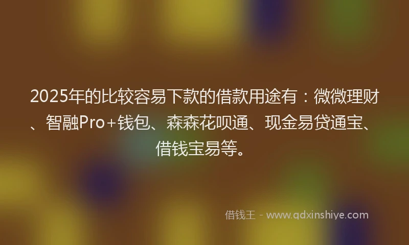 2025年的比较容易下款的借款用途有：微微理财、智融Pro+钱包、森森花呗通、现金易贷通宝、借钱宝易等。