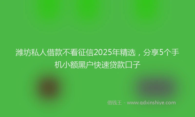 潍坊私人借款不看征信2025年精选，分享5个手机小额黑户快速贷款口子