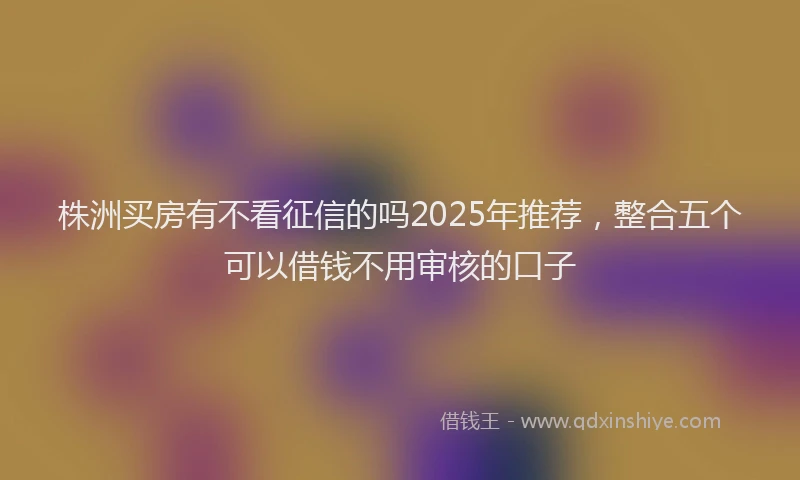 株洲买房有不看征信的吗2025年推荐，整合五个可以借钱不用审核的口子