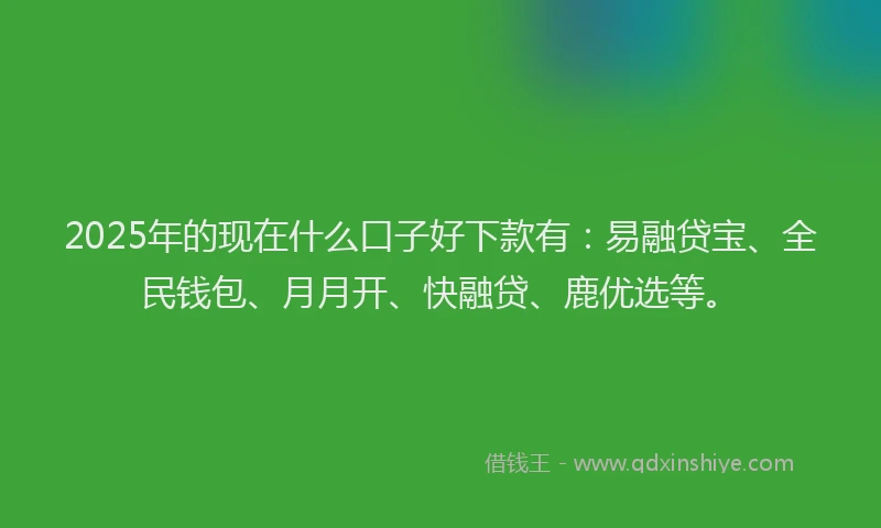 2025年的现在什么口子好下款有：易融贷宝、全民钱包、月月开、快融贷、鹿优选等。
