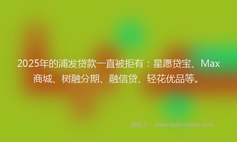 2025年的浦发贷款一直被拒有：星愿贷宝、Max商城、树融分期、融信贷、轻花优品等。