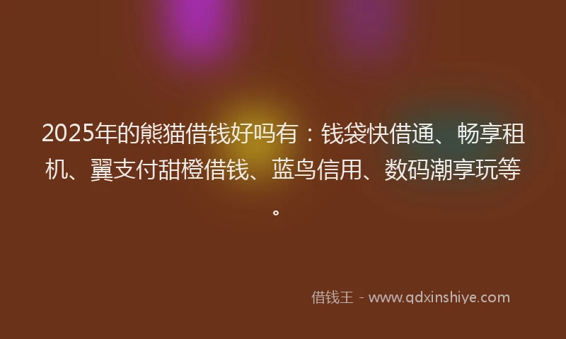 2025年的熊猫借钱好吗有：钱袋快借通、畅享租机、翼支付甜橙借钱、蓝鸟信用、数码潮享玩等。