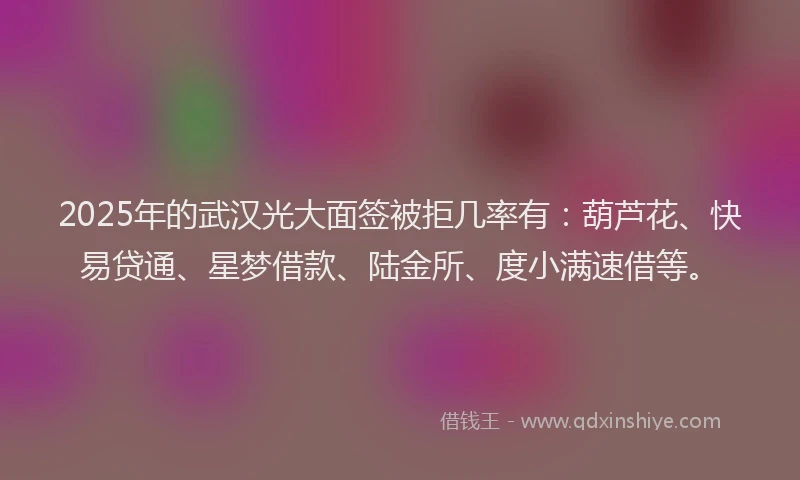 2025年的武汉光大面签被拒几率有：葫芦花、快易贷通、星梦借款、陆金所、度小满速借等。