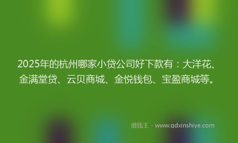 2025年的杭州哪家小贷公司好下款有：大洋花、金满堂贷、云贝商城、金悦钱包、宝盈商城等。