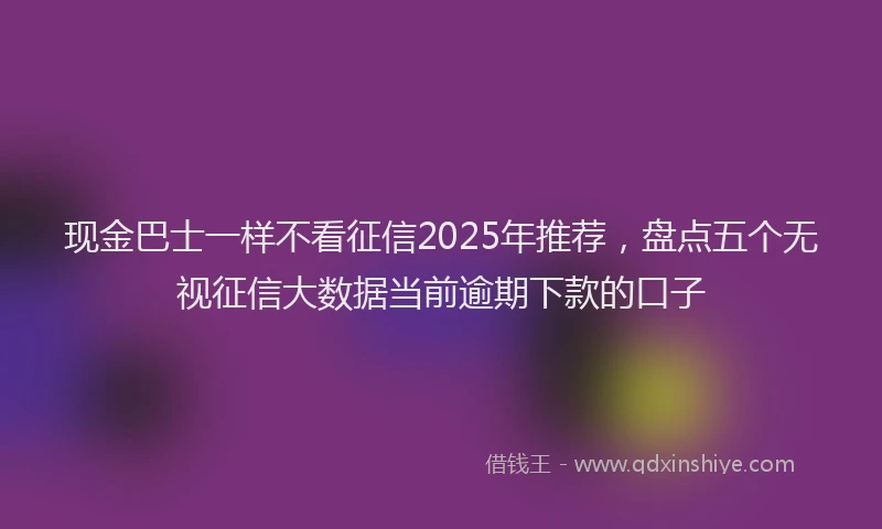 现金巴士一样不看征信2025年推荐，盘点五个无视征信大数据当前逾期下款的口子